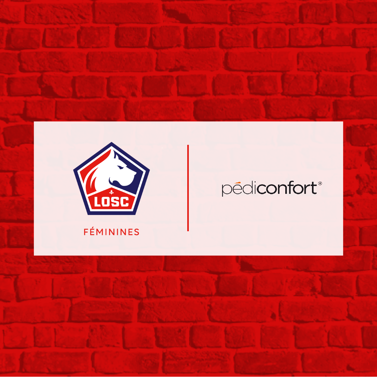 Pediconfort officiel top
